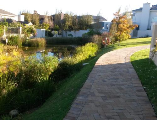 Communal paved walkway