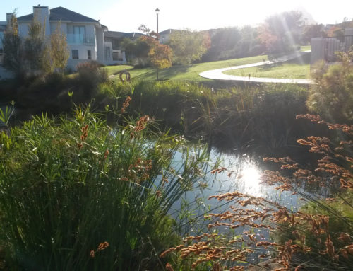 One of our dams