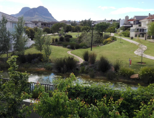 View up the estate to the Helderberg